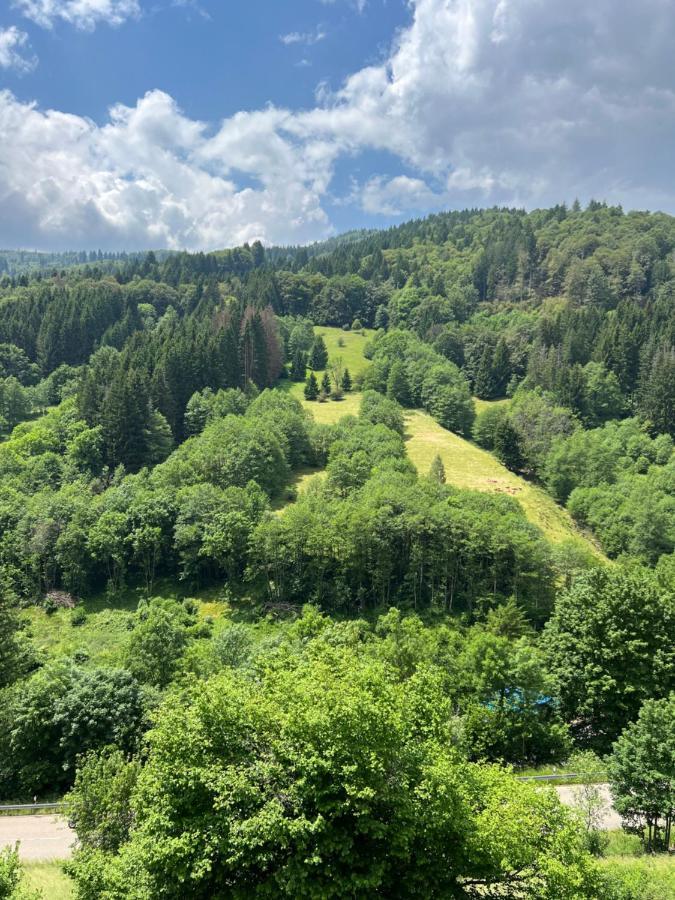 Bollenlodge - Ferienwohnung Mit Ausblick Und Top Lage Todtnau Exterior foto